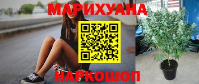 каннабис Гусев