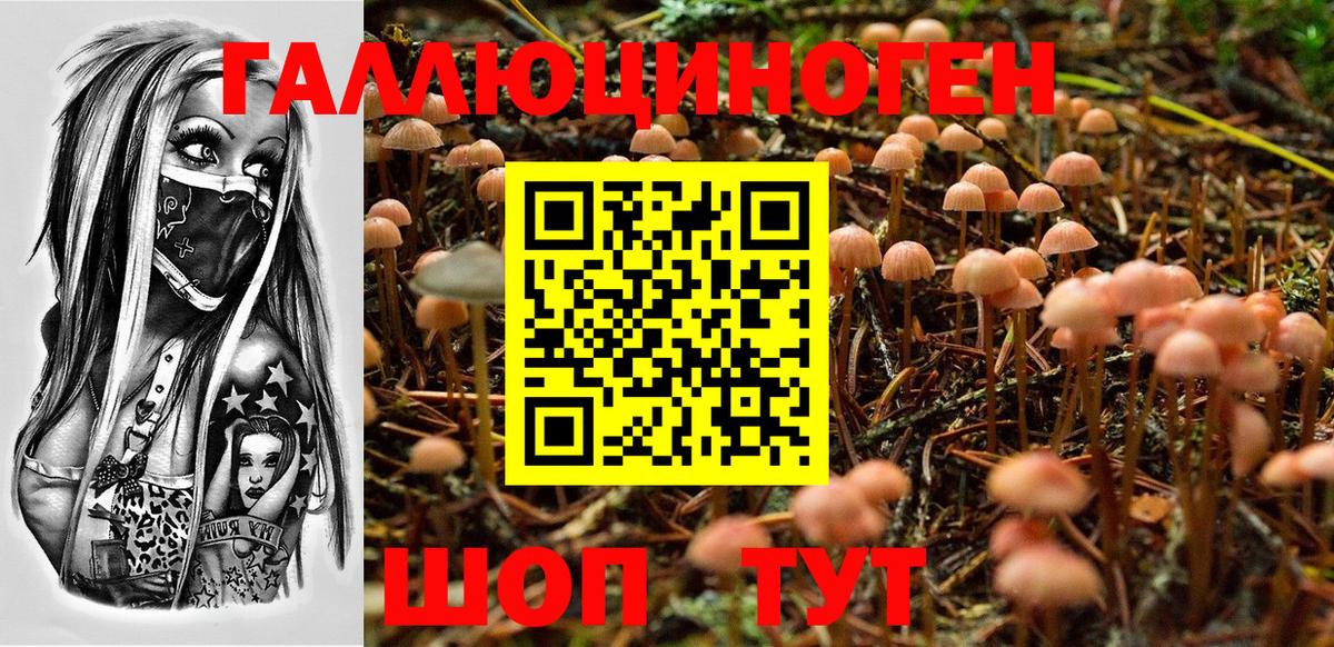 Мариинск  Псилоцибиновые грибы MAGIC MUSHROOMS  Вход с VPN 